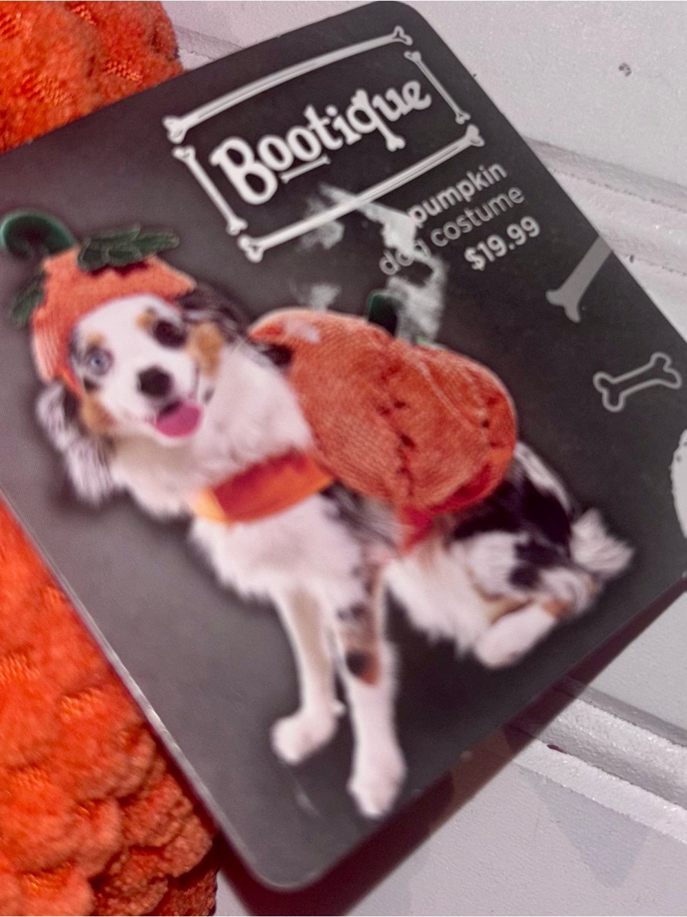 Bootique Orange Pumpkin Dog Doggie Costume with Hat XS - Picture 9 of 11